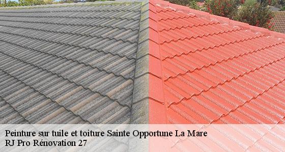 peinture-sur-tuile-et-toiture-7