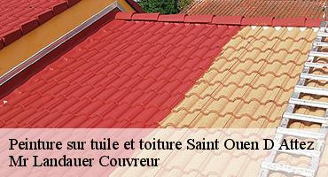 peinture-sur-tuile-et-toiture-1