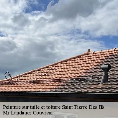 peinture-sur-tuile-et-toiture-4