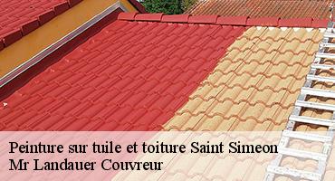 peinture-sur-tuile-et-toiture-1