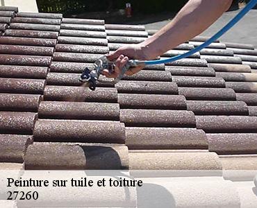 peinture-sur-tuile-et-toiture-2