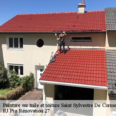 peinture-sur-tuile-et-toiture-4