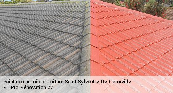 peinture-sur-tuile-et-toiture-7