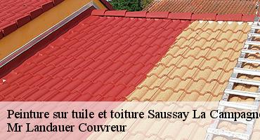 peinture-sur-tuile-et-toiture-1