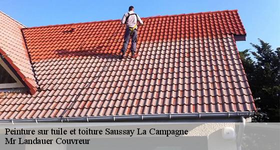 peinture-sur-tuile-et-toiture-7