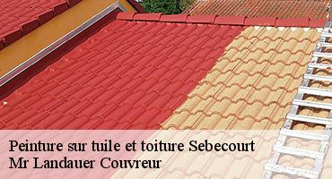 peinture-sur-tuile-et-toiture-1