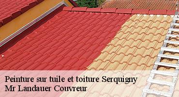 peinture-sur-tuile-et-toiture-1
