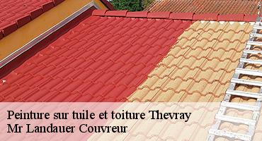 peinture-sur-tuile-et-toiture-1