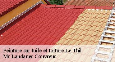 peinture-sur-tuile-et-toiture-1