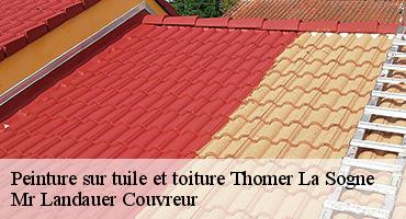 peinture-sur-tuile-et-toiture-1