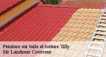 peinture-sur-tuile-et-toiture-1