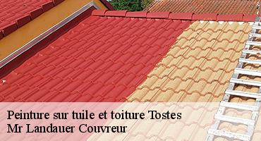 peinture-sur-tuile-et-toiture-1