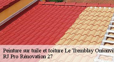 peinture-sur-tuile-et-toiture-1