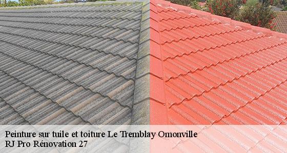 peinture-sur-tuile-et-toiture-7