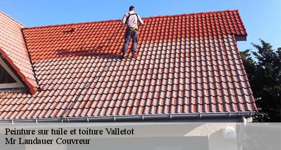 peinture-sur-tuile-et-toiture-7