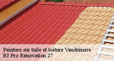 peinture-sur-tuile-et-toiture-1