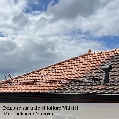 peinture-sur-tuile-et-toiture-4