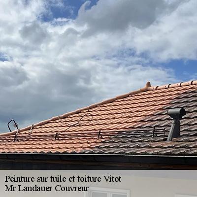 peinture-sur-tuile-et-toiture-4