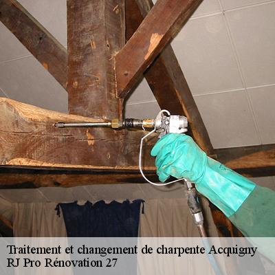 traitement-et-changement-de-charpente-4