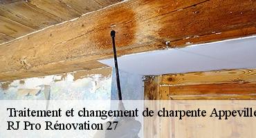 traitement-et-changement-de-charpente-1