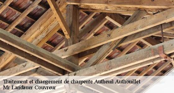 traitement-et-changement-de-charpente-7