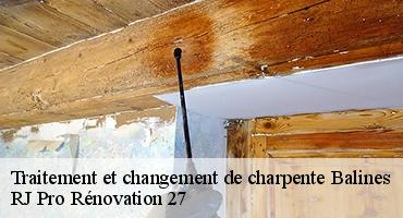 traitement-et-changement-de-charpente-1
