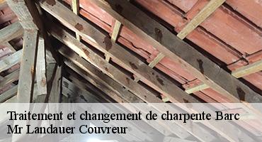 traitement-et-changement-de-charpente-1