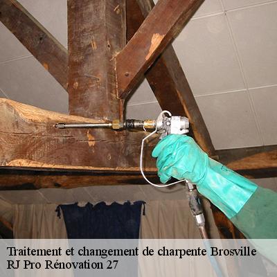 traitement-et-changement-de-charpente-4