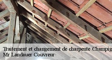 traitement-et-changement-de-charpente-1