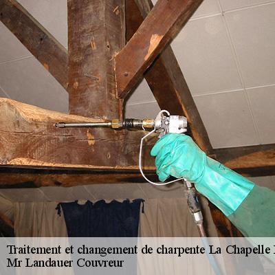 traitement-et-changement-de-charpente-4