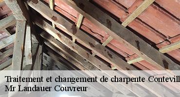 traitement-et-changement-de-charpente-1