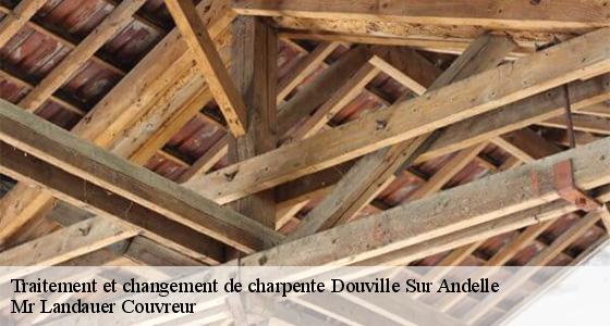traitement-et-changement-de-charpente-7