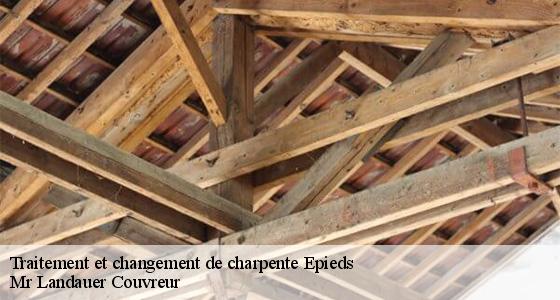 traitement-et-changement-de-charpente-7