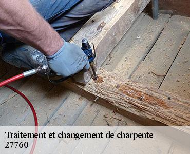 traitement-et-changement-de-charpente-2