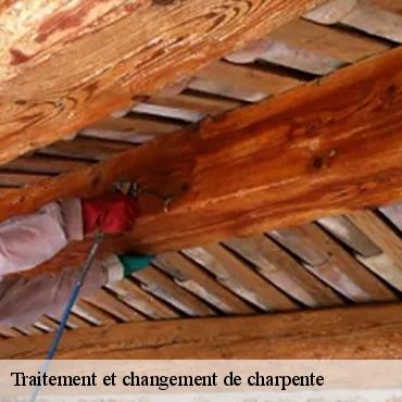 traitement-et-changement-de-charpente-3