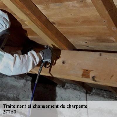 traitement-et-changement-de-charpente-5