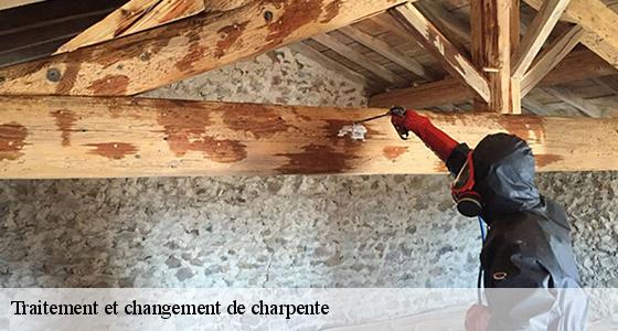 traitement-et-changement-de-charpente-6
