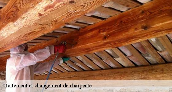 traitement-et-changement-de-charpente-6