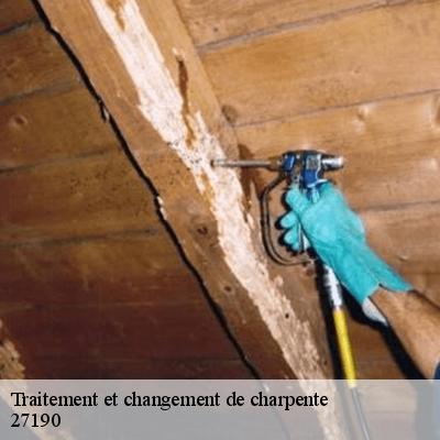 traitement-et-changement-de-charpente-8