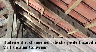 traitement-et-changement-de-charpente-1