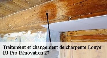 traitement-et-changement-de-charpente-1