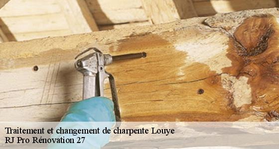 traitement-et-changement-de-charpente-7