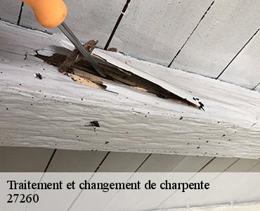traitement-et-changement-de-charpente-2