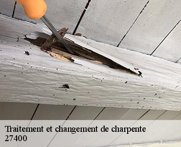 traitement-et-changement-de-charpente-2