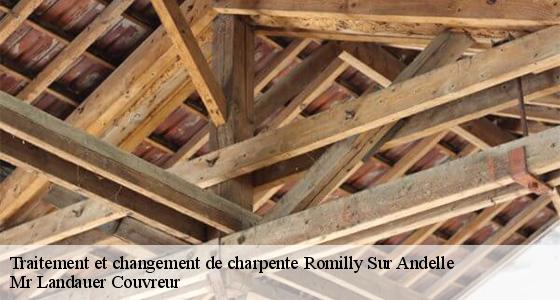 traitement-et-changement-de-charpente-7