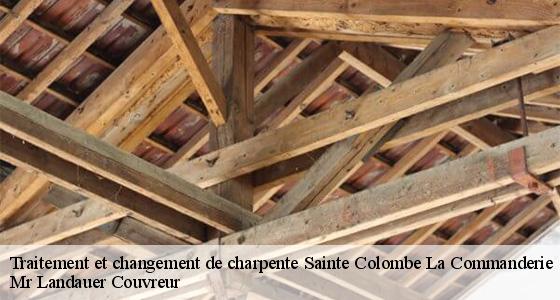 traitement-et-changement-de-charpente-7