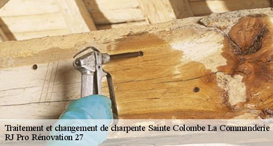 traitement-et-changement-de-charpente-7