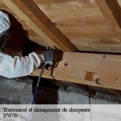 traitement-et-changement-de-charpente-5