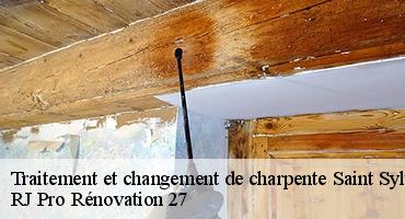 traitement-et-changement-de-charpente-1