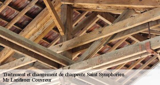 traitement-et-changement-de-charpente-7
